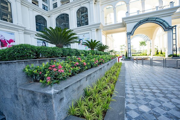 Shophouse khối đế Sunshine Riverside, căn góc tòa R2 ngay mặt đường đôi 40m! 3
